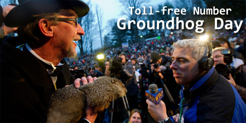 Groundhog day 2013 and toll free numbers
