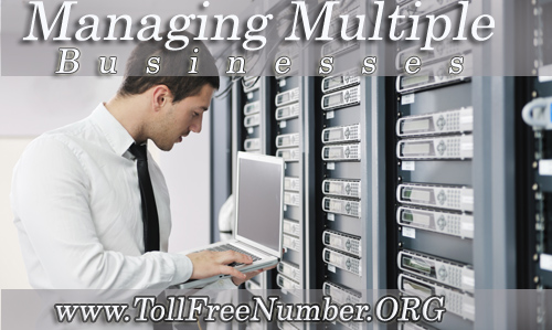 Managing Multiple Businesses